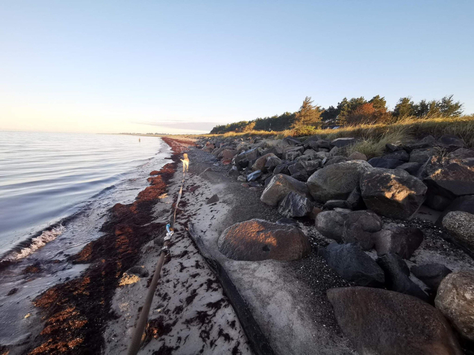 Others 4, Seaside Retreat in Lolland, Lolland
