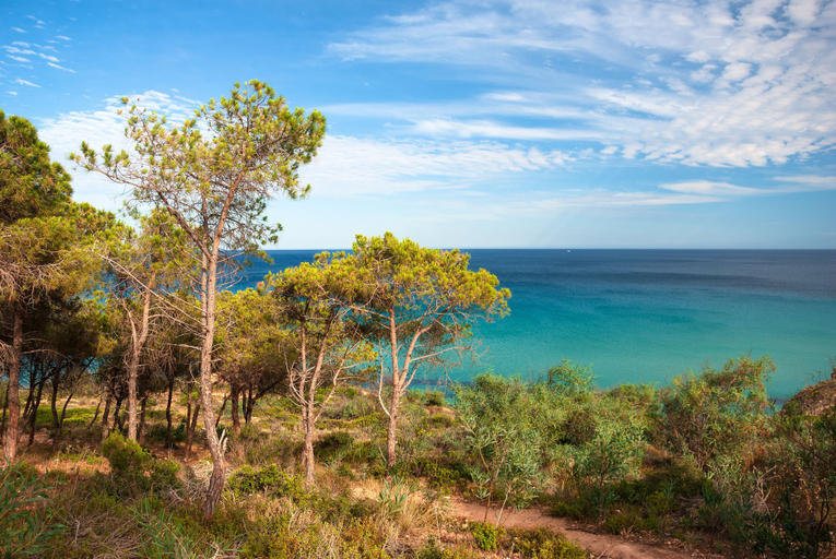 Others 3, Fantastico Baia de Bahas Residence Sea View 2 Bedroom Sleeps 6, Olbia-Tempio