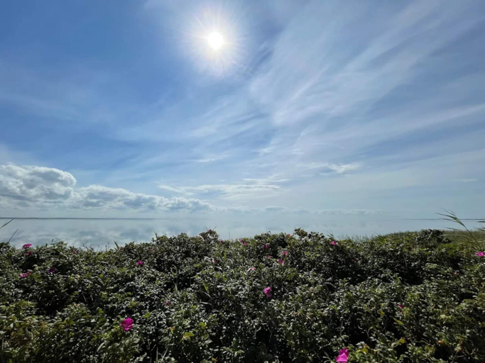Others 5, 4 Star Holiday Home in Ringkobing, Ringkøbing-Skjern