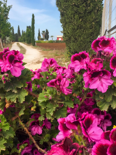 Exterior & Views 1, Picturesque Villa in Sciacca with Sea View and Garden, Agrigento