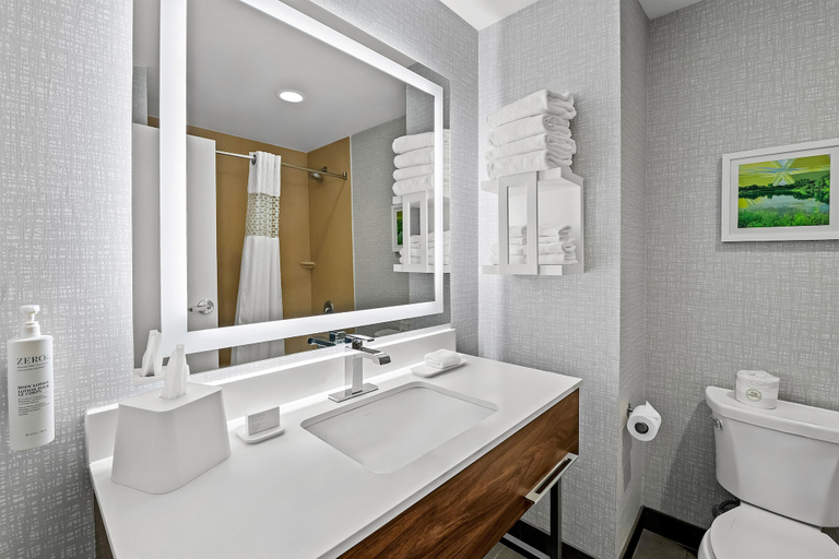 Bathroom 4, Hampton Inn Omaha/West Dodge Road (Old Mill), Douglas