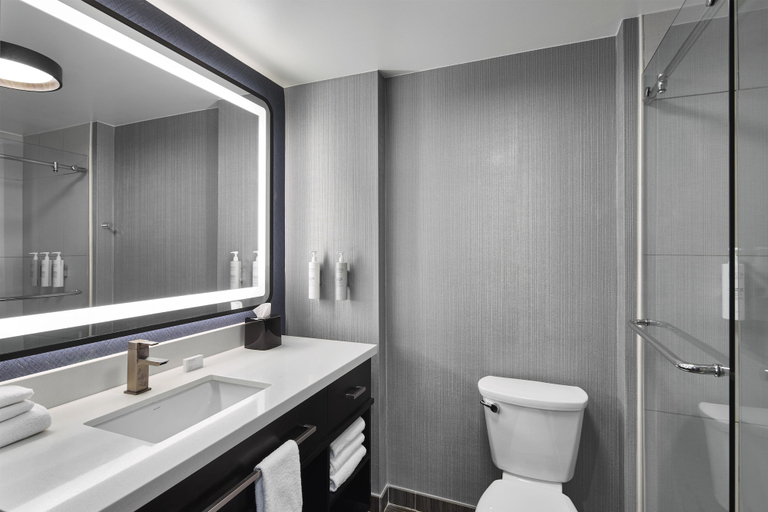 Bathroom 3, Homewood Suites by Hilton Savannah Historic Dist/Riverfront, Chatham