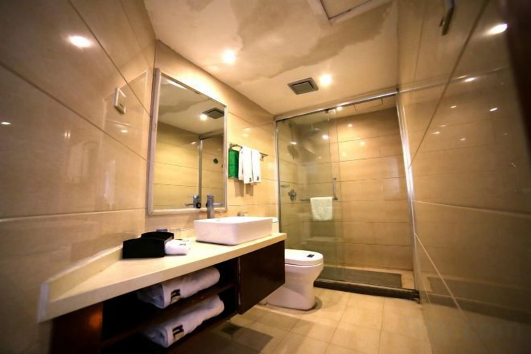 Bathroom 4, Liyuan Hot Spring Hotel, Fuyang