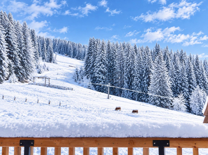 Others 1, Holiday Home on the ski Slope With Sauna, Murau
