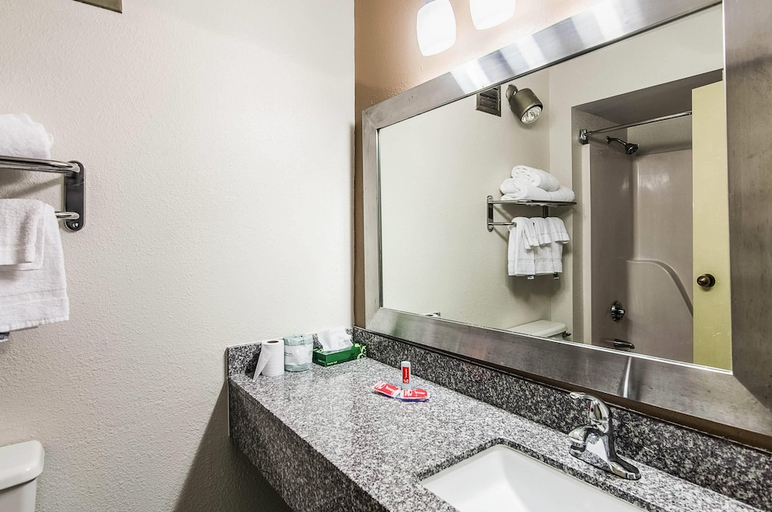 Bathroom, Econo Lodge Inn & Suites Norton - Wise South, Norton