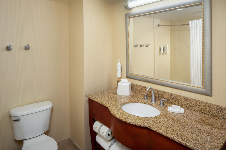 Bathroom 4, Hampton Inn & Suites North Conway, Carroll