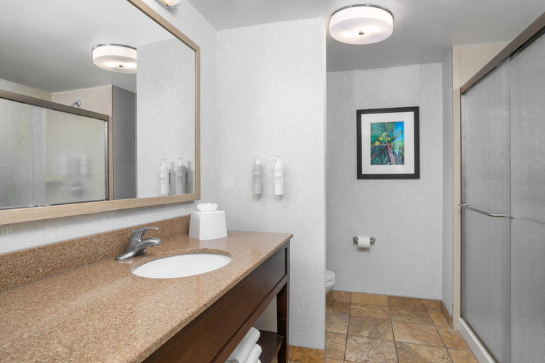 Bathroom 4, Hampton Inn New Smyrna Beach, Volusia