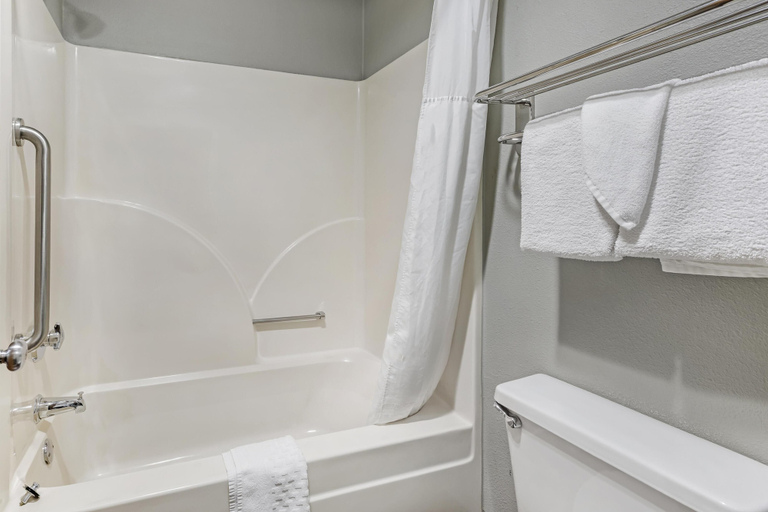 Bathroom 4, Best Western Inn, Florence