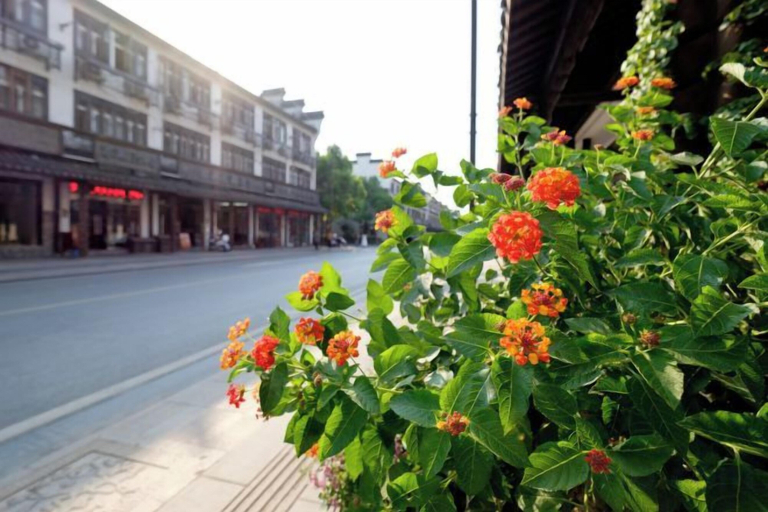 Others, Wuzhen Xizha Country Cottage Homestay, Jiaxing