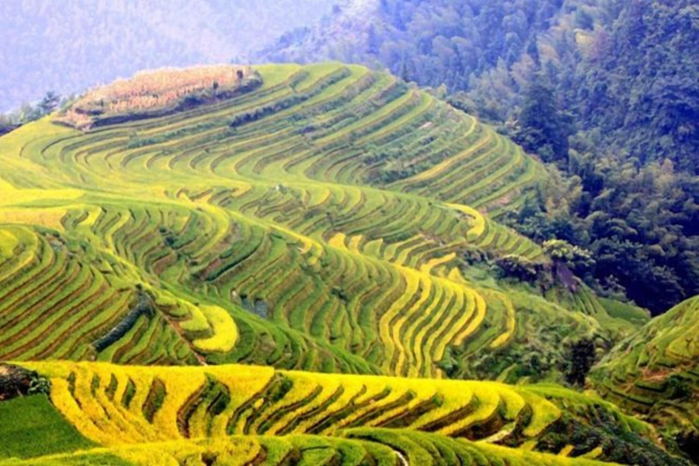 Others 5, Longsheng Longji Ping'an Homestay Building 2, Guilin