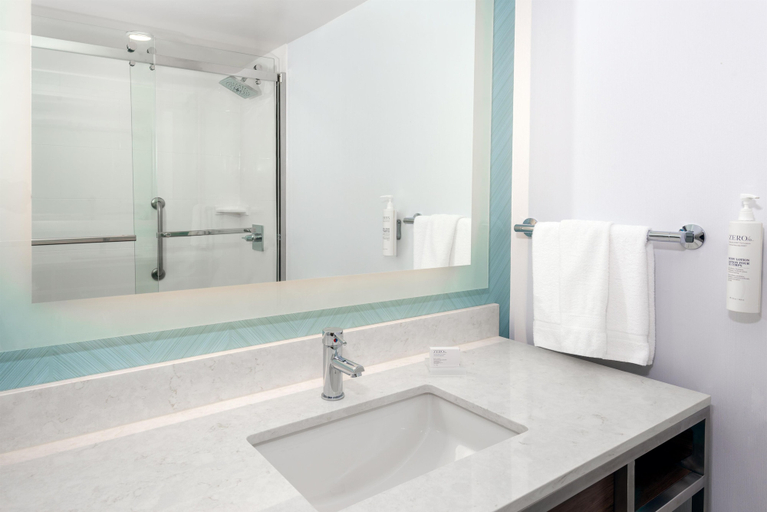 Bathroom 5, Hilton Garden Inn Charlotte Uptown, Mecklenburg