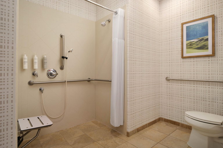 Bathroom 4, Hampton Inn Thomson, McDuffie