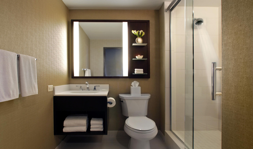 Bathroom 5, Hilton Chicago, Cook