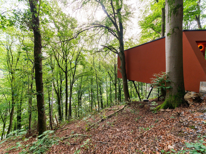 Others 4, The Blooming Refuge - Hydrangea Cabin, Luxembourg
