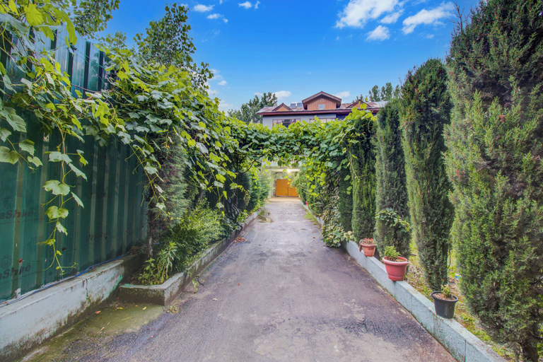 Others 4, Collection O Airport Road Solina, Srinagar