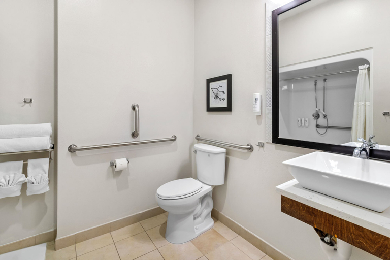 Bathroom 4, Country Inn & Suites by Radisson, Bowling Green, KY, Warren