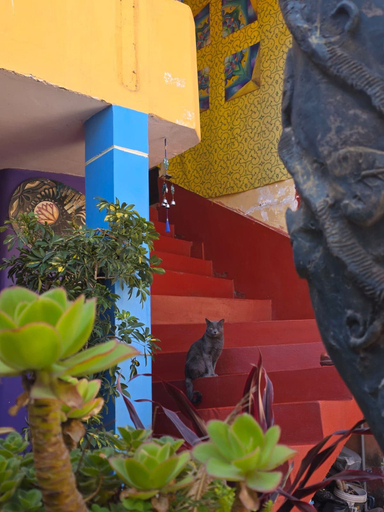 Others 4, Aguaymanto Hostel, Calca