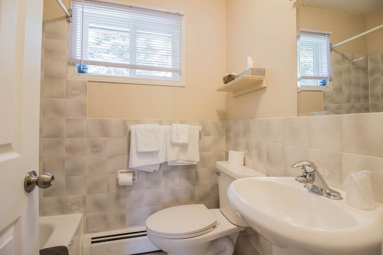 Bathroom 3, The White Horse Motel, Queens