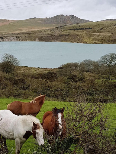 Others 2, Stunning Moorland Views Over Lake and Rough Tor, Cornwall