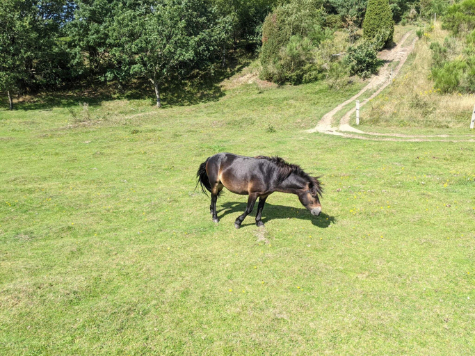 Others 4, 4 Star Holiday Home in Ebeltoft, Syddjurs