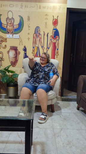 Public Area 3, Phoenix Pyramids View Inn, Al-Ahram