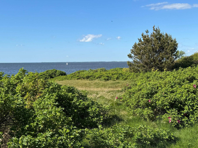 Others 5, 4 Star Holiday Home in Tarm, Ringkøbing-Skjern