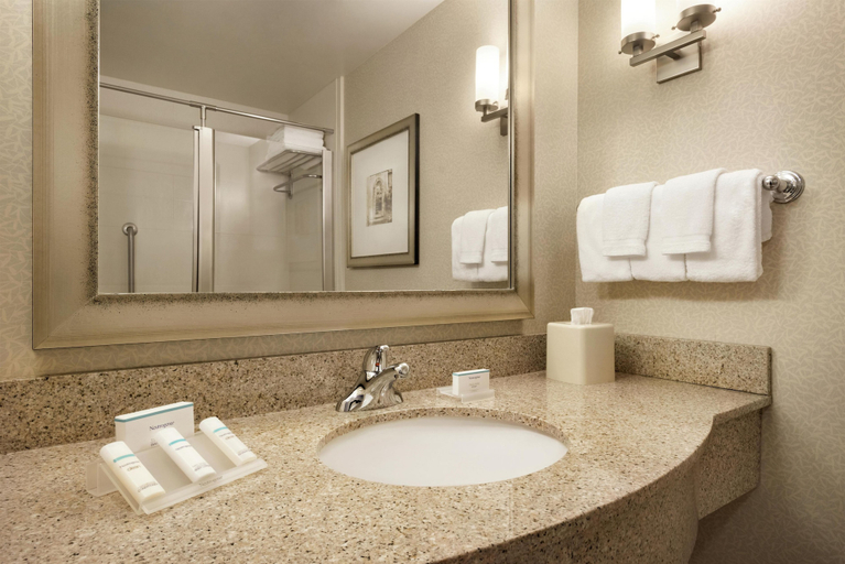 Bathroom 5, Hilton Garden Inn Minneapolis Downtown, Hennepin