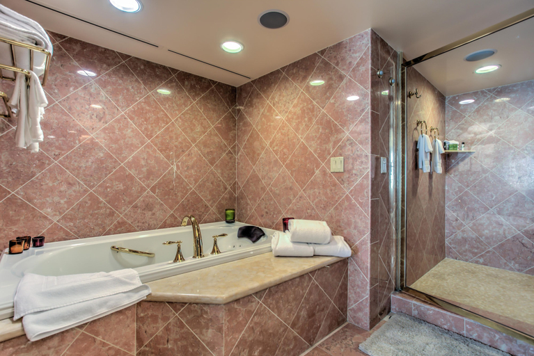 Bathroom 5, Embassy Suites by Hilton Convention Center Las Vegas, Clark