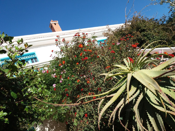 Exterior & Views 2, Riad Tamayourt Ocean View, Essaouira