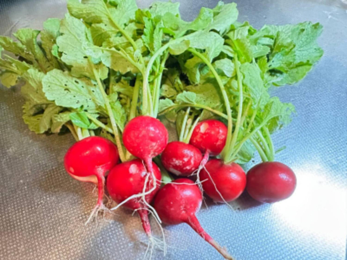 Food & Drinks 5, Potato mura house tatara - Vacation STAY 90000v, Nagano