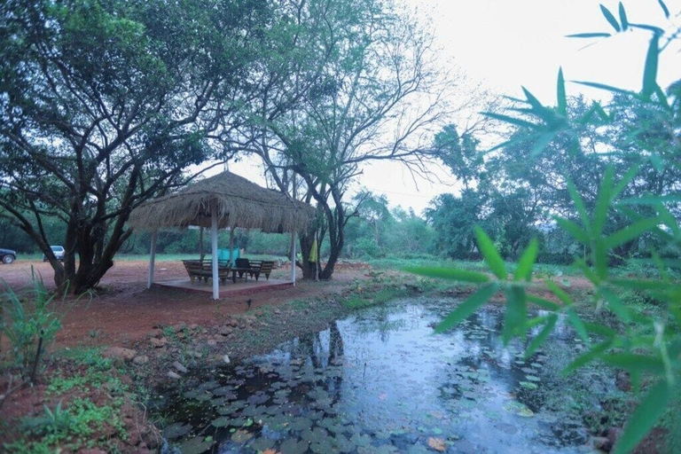 Others 2, Village Utopia, South Goa