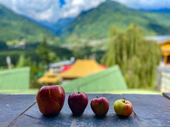 Others 4, ManuAllaya Resort, Kullu