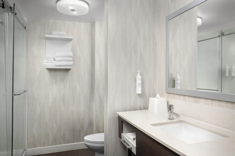 Bathroom 4, Hampton Inn & Suites Clinton - I-26, Laurens