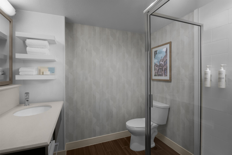 Bathroom 4, Hampton Inn Salt Lake City - Downtown, Salt Lake
