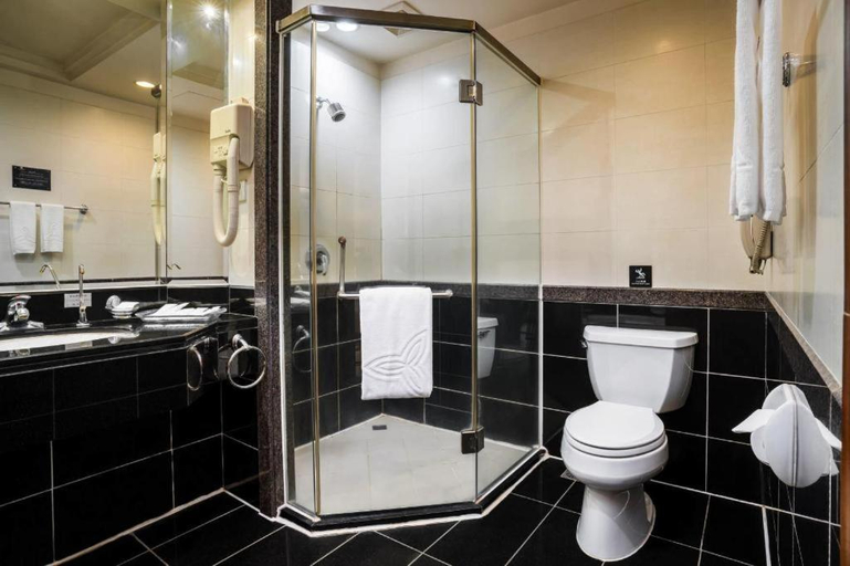 Bathroom 4, Gladden ShiLong, Dongguan