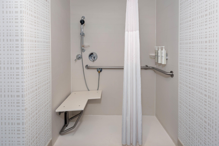 Bathroom 4, Hampton Inn & Suites Springfield/Downtown, Hampden