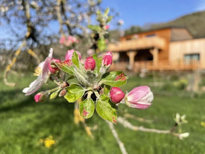 Exterior & Views, Le Volcans des Sens, Haute-Loire