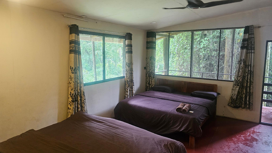 Bedroom 4, Deep Jungle Home, The Nilgiris