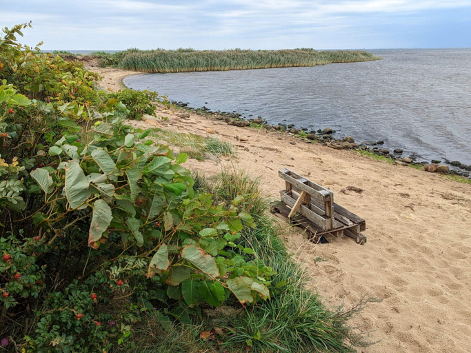 Others 5, 5 Star Holiday Home in Tarm, Ringkøbing-Skjern
