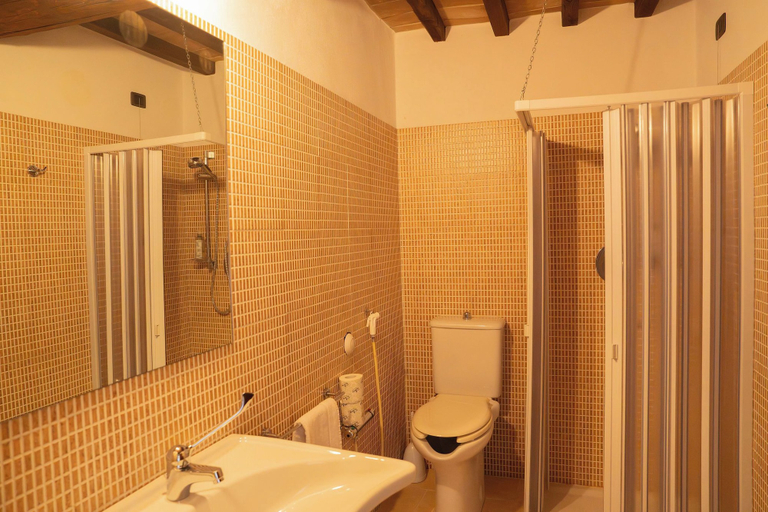Bathroom 4, Agriturismo Aia Leccioni, Pisa