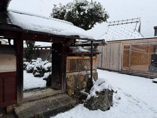 Others 3, tehen -roots stay-, Kyoto
