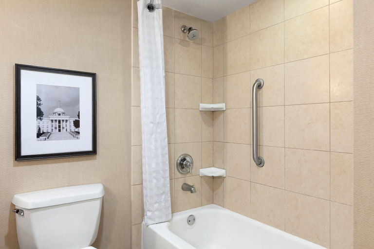 Bathroom 4, Embassy Suites by Hilton Greensboro Airport, Guilford