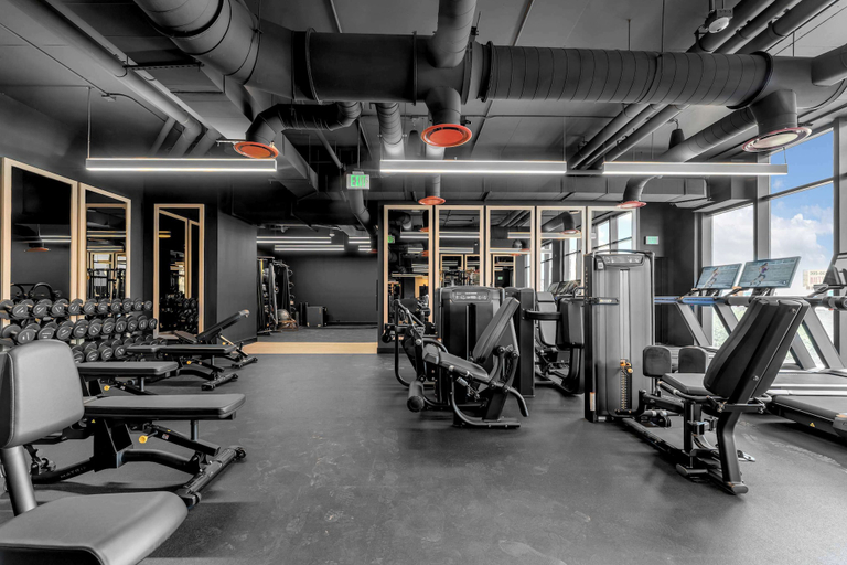 Others 5, Magic City & Rooftop Pool, Miami-Dade