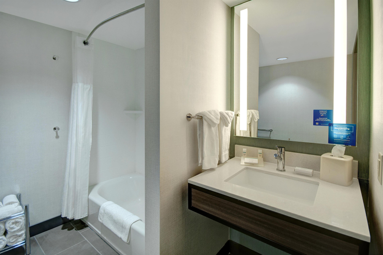 Bathroom 4, Hilton Garden Inn Terre Haute, Vigo