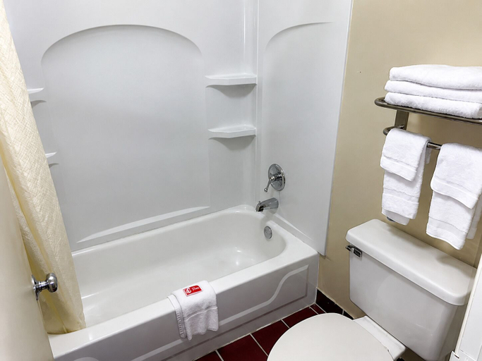 Bathroom 4, Econo Lodge & Suites Clarksville near Governors Square Mall, Montgomery