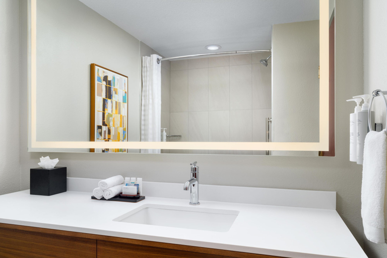 Bathroom 4, Embassy Suites Lincoln, Lancaster