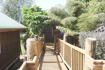 Others 3, Lake Karapiro Mighty River Domain, Waipa
