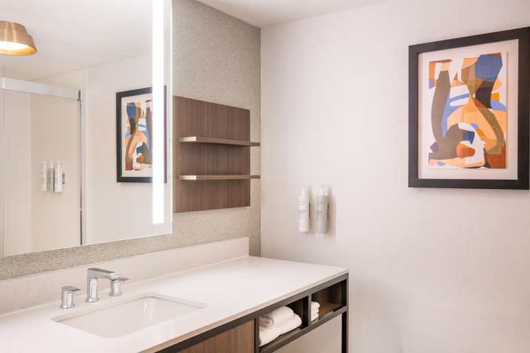 Bathroom 4, Hilton Garden Inn Denver Tech Center, Denver