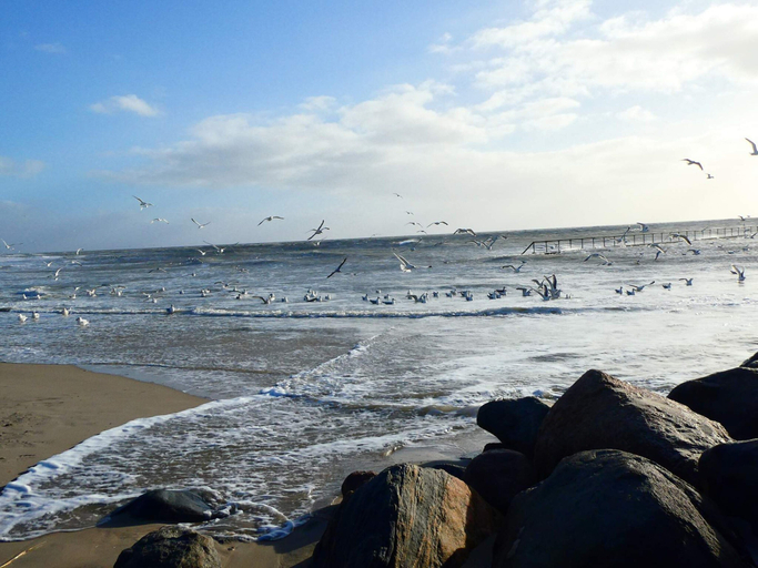 Others 4, 8 Person Holiday Home in Blavand, Varde