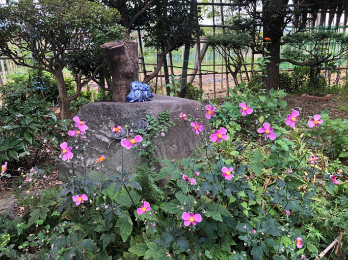 Others 5, Fukurou no Oyado - Vacation STAY 71246v, Fuefuki